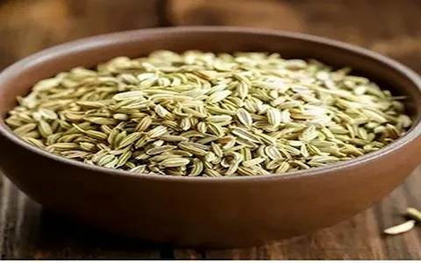 قیمت خرید زیره سبز برای مردان با فروش عمده